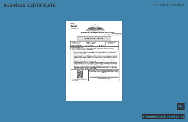 Philippinische Registrierungsurkunde (Word und PDF), Version 2 – Beispielvorschau